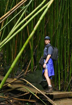 Илья, вступающий в бамбуковый лес. Тропа Pipiwai.