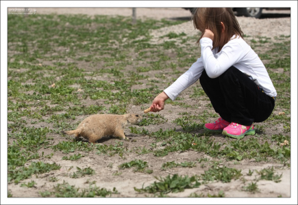 Арахис - любимая еда.