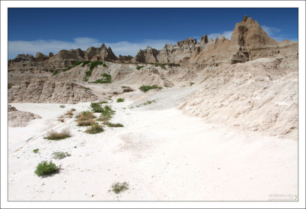 На тропе Fossil Exhibit Trail.