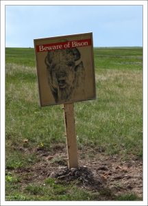 "Опасайтесь бизонов!"