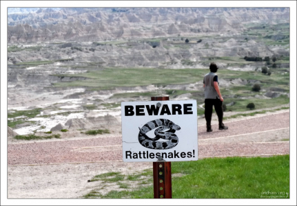 "Опасайтесь гремучих змей!"