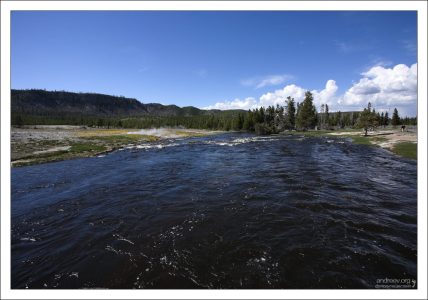В Огненной реке отлично себя чувствует и размножается коричневая и радужная форель.