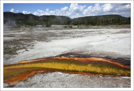 Результат работы термофильной бактерии Thermus aquaticus.