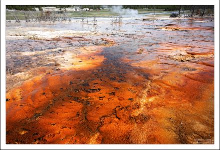 Краски бассейна Biscuit особенно насыщены красными и оранжевыми пигментами.