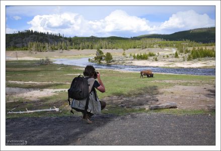 Фотоохота на бизона на берегах Огненной реки.