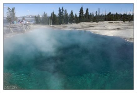Очень горячий "Black Pool".