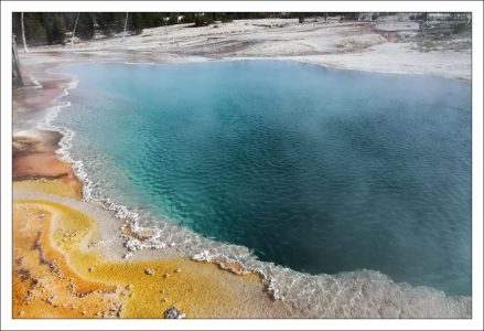 Остатки колонии цианобактерий по берегам "Черного водоема".