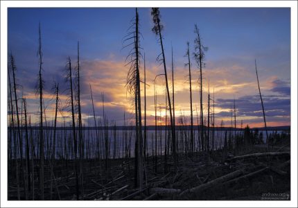 Восточная граница озера Йеллоустоун.