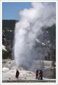 Львиная группа (The Lion Group).