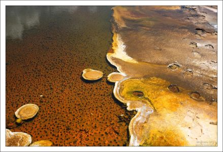 Источник в желтых тонах.