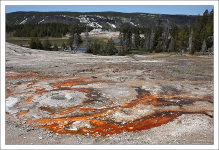 Гейзеровый холм (Geyser Hill) – это около 40 гейзеров, бурлящих лужиц нереальных цветов, фотогеничных пыхтящих конусов и рычащих фумарол.