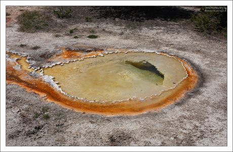 Источник золотого цвета с оранжевой окантовкой.