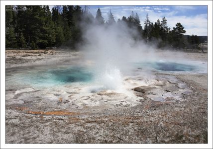 Spasmodic Geyser (Судорожный).
