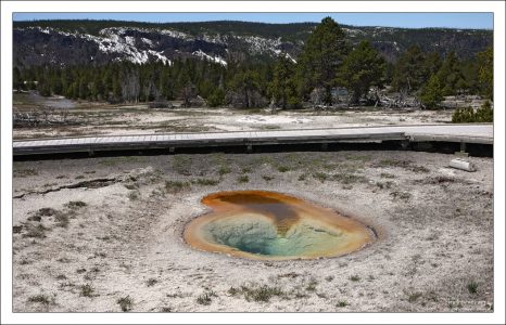 Belgian Pool, он же - Устрица.