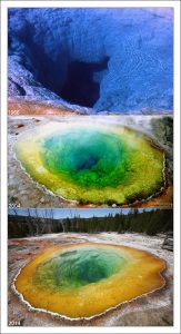 Как менялся цвет "Morning glory" с течением времени.