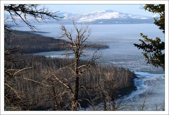 Озеро Йеллоустоун с высоты смотровой площадки Lake Butte overlook.