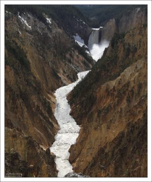 Река Yellowstone в одноименном каньоне.