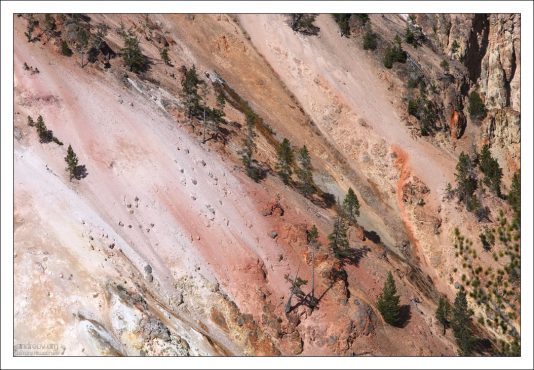 Розовый цвет на склонах Большого каньона обусловлен присутствием железа.