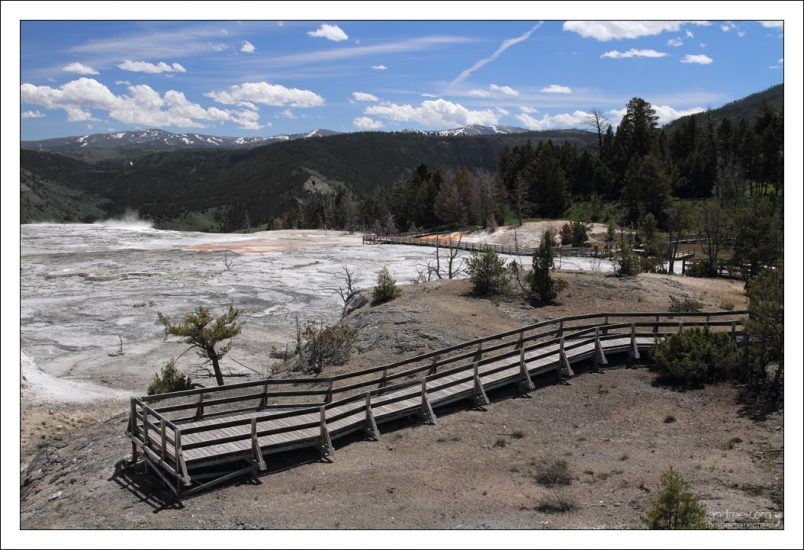 Помосты на Верхних Мамонтовых террасах.