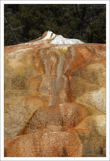 Активная работа бактерий.