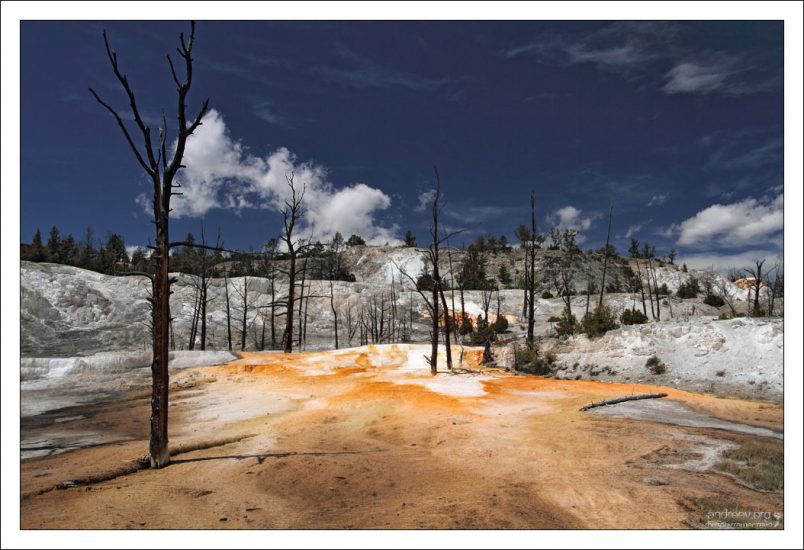 Angel Terrace (Ангельская терраса), где деревья еще не полностью высохли.