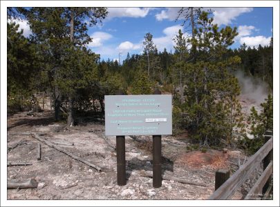 Гейзер "Пароход" считается самым высоким в мире - выбрасывает воду более, чем на 90 метров.