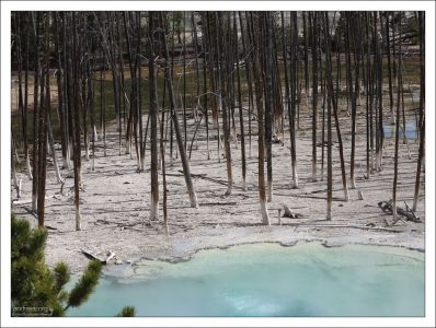 Молочно-зеленая вода водоема "Цистерна", с высоким содержанием гейзерита.