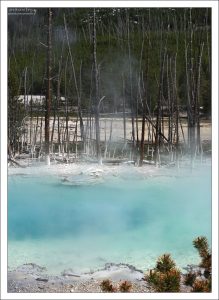 Когда гейзер “Пароход” извергается, то Цистерна полностью опустошается.