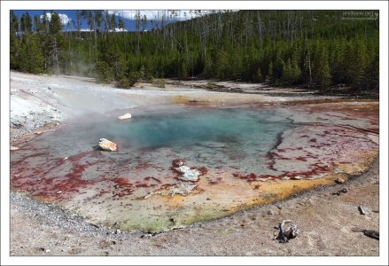 Гейзер “Морской ёж” (Echinus Geyser) является крупнейшим из известных кислотных гейзеров.