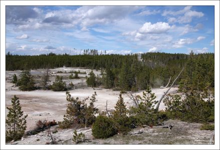 В отличие от большинства других гейзеровых бассейнов в парке, вода в долине Норриса (Norris Geyser Basin) кислая.