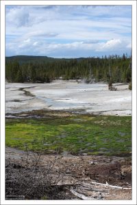 Небольшая топь в Заднем бассейне.