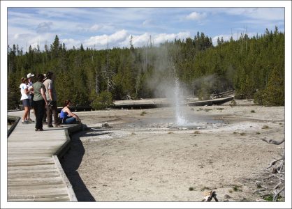 Гейзер “Vixen” (Сварливая женщина, мегера).