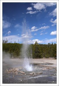 Извержение гейзера “Vixen”.