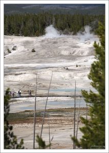 В общей сложности в долине Норриса проложено 3,6 км троп.