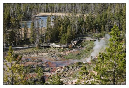 Деревянные мостки, они же - тропинка наверх холма.
