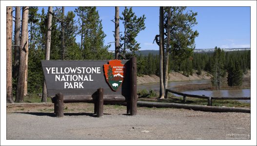 До свидания, Йеллоустоун!