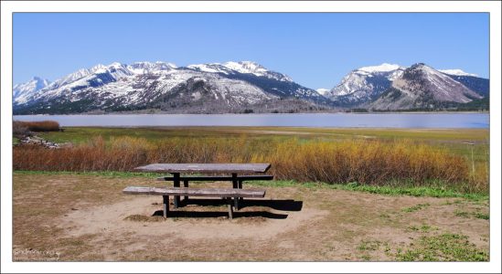 Площадка для пикника за пределами парка.