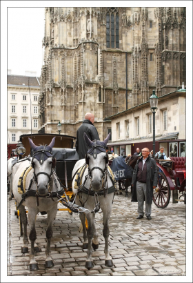 Фиакр – наёмный городской экипаж на конной тяге.