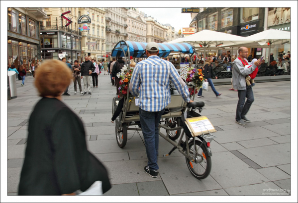 Вело-экскурсовод - популярная профессия в Вене.