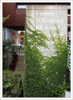 Английские местоимения :)