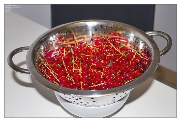 Миска красной смородины.