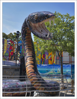 Качели Black Mamba.