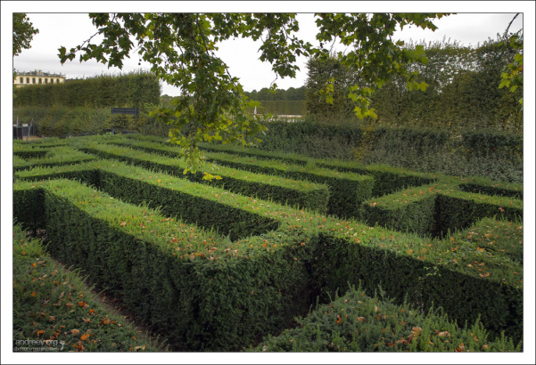 Лабиринт Шёнбрунна (1720-й год).