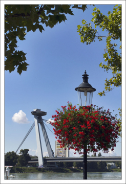 Набережная Дуная.