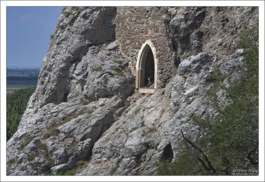 Схрон с козой.