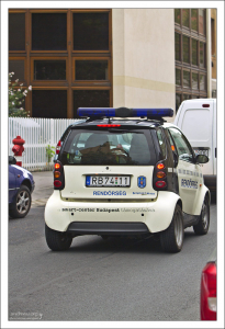 Мини-полиция.