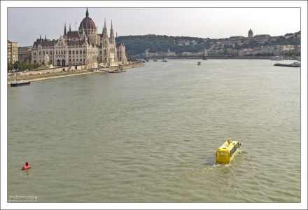 Плывущий по Дунаю "автобус".