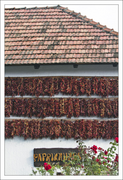 Связки сушеной паприки на стене дома в поселке Тихань.