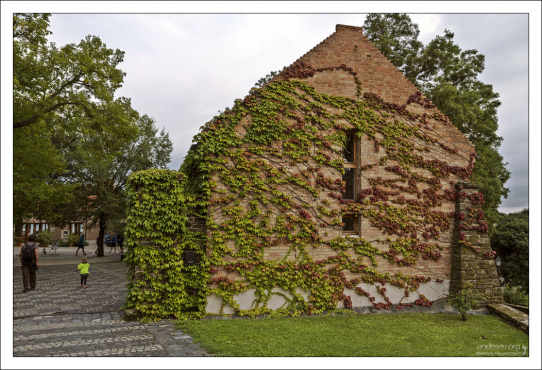 В поселке Тихань.