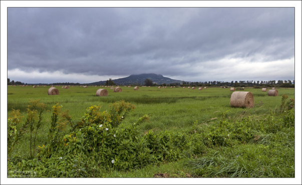 Время убирать сено. Северное побережье Балатона.